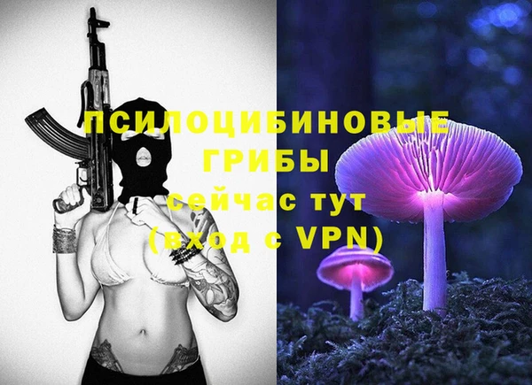 прущий лед Протвино