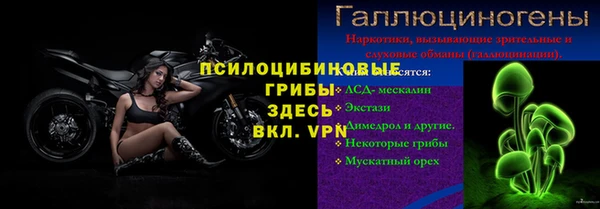 МДПВ Алексеевка