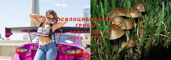 МДПВ Алексеевка