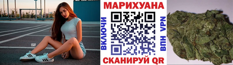 как найти   Курчалой  ссылка на мегу tor  Каннабис гибрид 